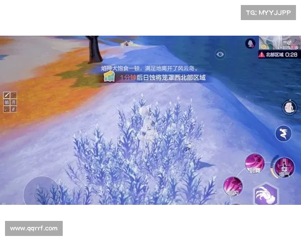 快速掌握风云岛隐藏宝箱位置的技巧与方法大全 快速掌握风云岛隐藏宝箱位置的技巧与方法大全